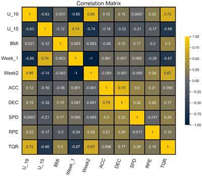 Classification of recovery states in U15, U17, and U19 sub-elite football players: a machine learning approach